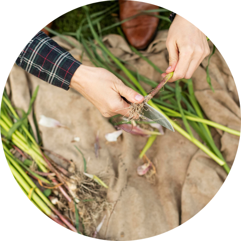 alternatives alimentaires lyon