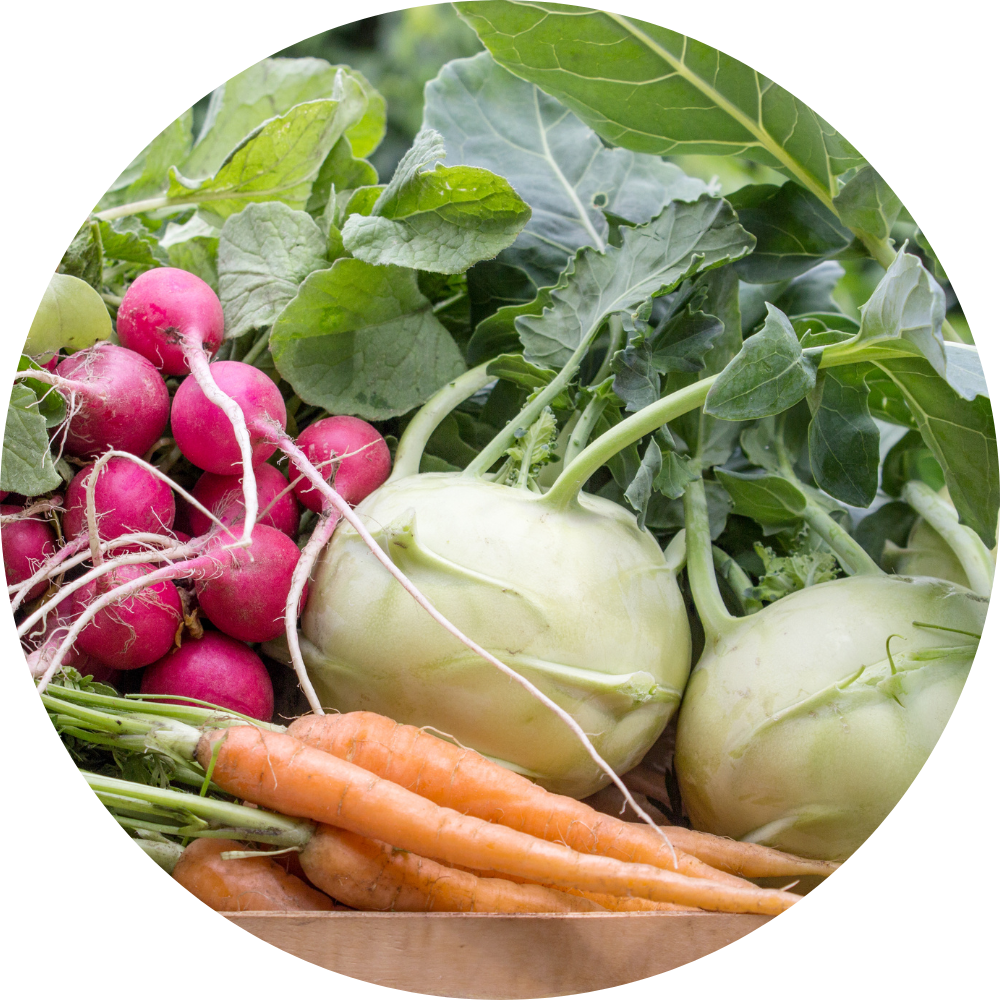 Cagette de légumes